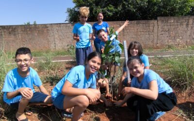 Prefeitura promove plantio de 25 mudas em escola da Capital