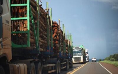 Concessão garante segurança viária e inovações a Mato Grosso do Sul