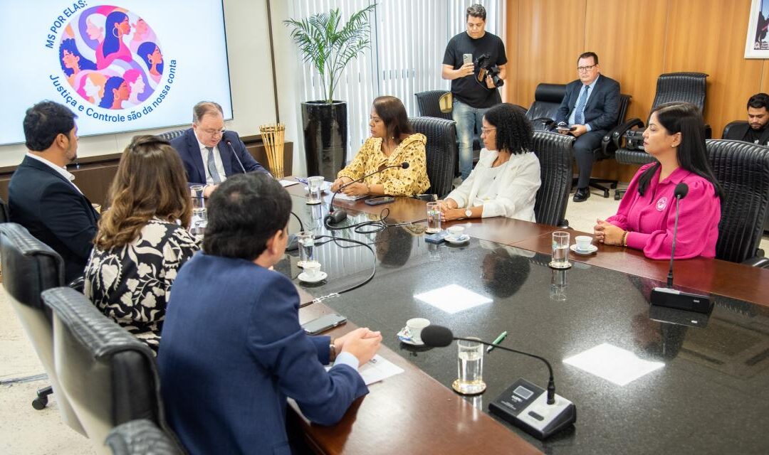 Instituições se unem para ampliar o programa MS por Elas nos municípios