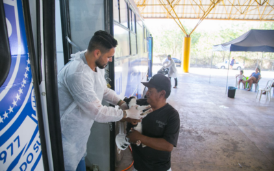 PrefCG reforça políticas de bem-estar animal com Caravana da Castração