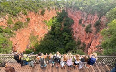 Com biodiversidade única, turismo e conservação no Pantanal e em Bonito atraem olhares do mundo todo