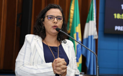 Gleice Jane acha justa, mas diz que Bolsonaro é contraditório por usar direitos humanos para domiciliar