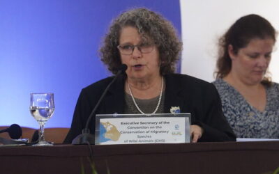 “Conectividade ecológica é essencial”, diz Amy Fraenkel da ONU em MS