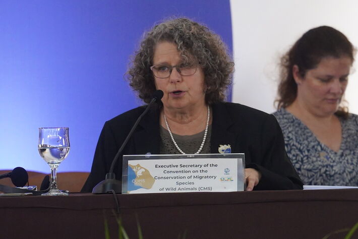 “Conectividade ecológica é essencial”, diz Amy Fraenkel da ONU em MS