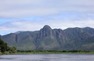 Para preservar o Pantanal, PSA Brigadas destinou mais de R$ 6,1 milhões para diferentes projetos sustentáveis