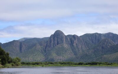 Para preservar o Pantanal, PSA Brigadas destinou mais de R$ 6,1 milhões para diferentes projetos sustentáveis