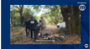 Homem foge da polícia e fica 8 horas em cima de pé de manga em Caarapó