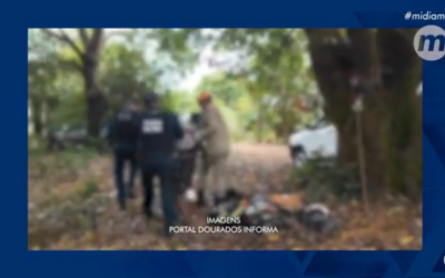 Homem foge da polícia e fica 8 horas em cima de pé de manga em Caarapó