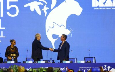 Pantanal no centro do mundo: COP15 começa com protagonismo de MS e mobilização global pela biodiversidade