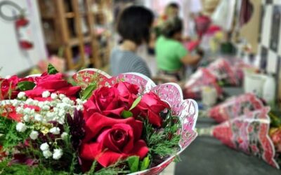 Dia da Mulher: Procon de Mato Grosso do Sul divulga pesquisa sobre flores e autocuidado