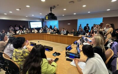 Mato Grosso do Sul leva programa Protege à ONU e debate proteção de mulheres em fórum internacional