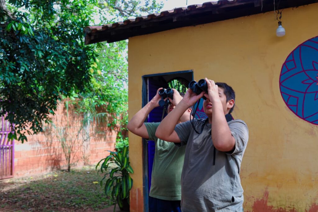 COP15: gêmeos identificam aves migratórias a partir do quintal de casa