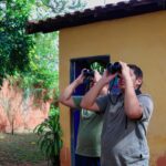 COP15: gêmeos identificam aves migratórias a partir do quintal de casa