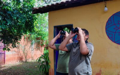 COP15: gêmeos identificam aves migratórias a partir do quintal de casa
