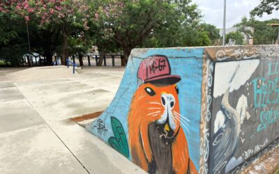 Reparos na pista de skate do Horto são concluído