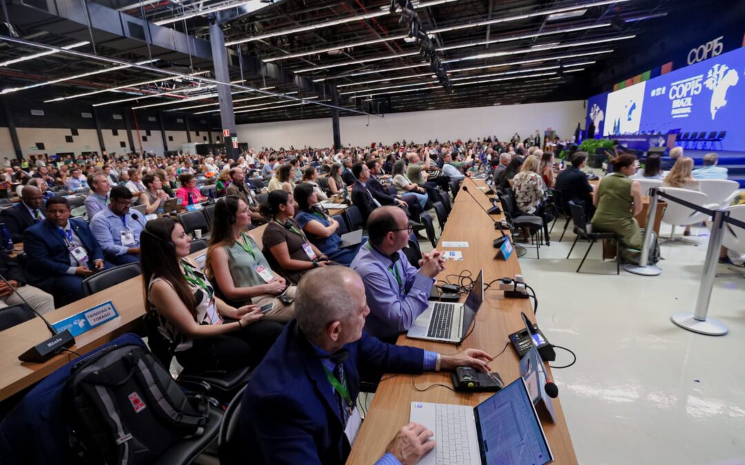 Hospitalidade campo-grandense encanta visitantes da COP 15