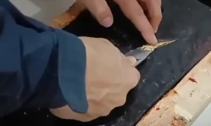 Boliviano é preso com 25 kg de pasta base de cocaína em máquina de costura na BR-262