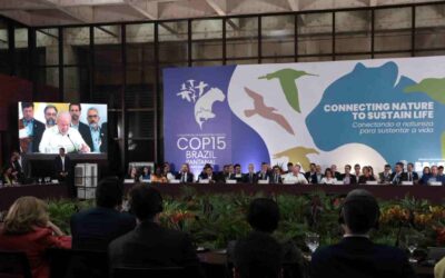 Abertura oficial da COP15 acontece nesta segunda-feira com primeiros painéis