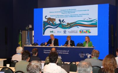 Dia do Pantanal: financiamento de políticas ambientais é tema em debate no segundo dia da COP15
