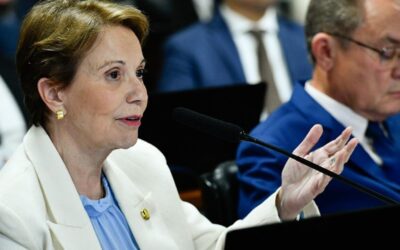 Tereza Cristina reúne autoridades para debater mineração de terras indígenas