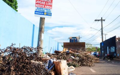 Em 24 horas, 231 usuários utilizam o +CG para denunciar terrenos baldios