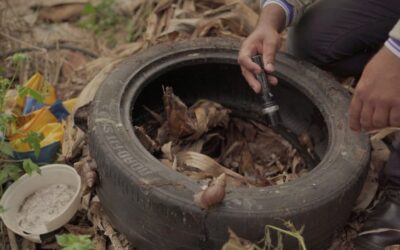 SES realiza força-tarefa com Defesa Civil para conter avanço da chikungunya em Dourados