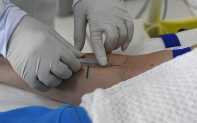 SES divulga nota reforçando vigilância e MS segue sem casos confirmados de hantavirose há 7 anos