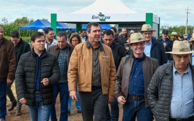 Showtec: MS avança e agro cresce como vitrine de inovação e futuro das cadeias produtivas