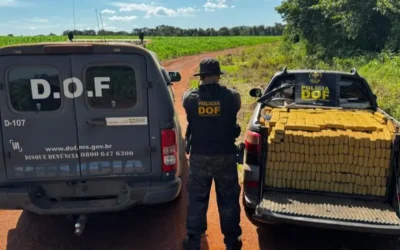 Maconha avaliada em R$ 2 milhões é encontrada em carro abandonado na BR-267