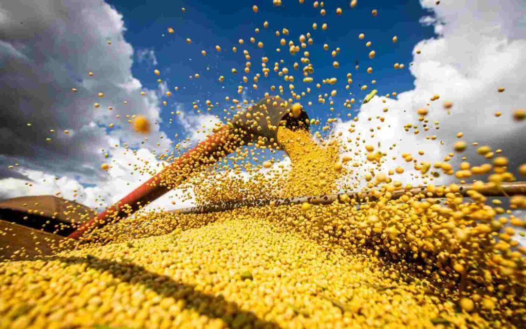 Safra nacional de grãos deve bater recorde de 358 milhões de toneladas
