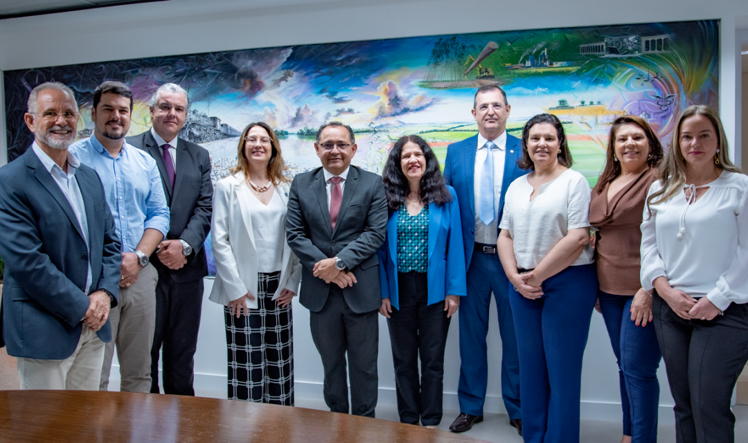 TCE apresenta diagnóstico de vagas em creches de MS ao Comitê de Trabalho da Primeira Infância