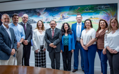TCE apresenta diagnóstico de vagas em creches de MS ao Comitê de Trabalho da Primeira Infância