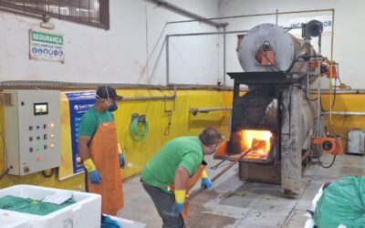 Operação inédita destrói 1 tonelada de medicamentos irregulares e reforça combate ao mercado clandestino