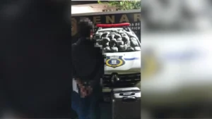 Ao pedir informação, passageiro acaba preso pela Guarda com maconha em bagagem na rodoviária