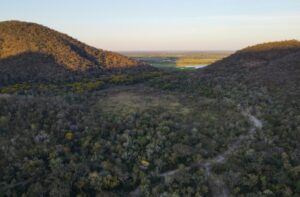 Para preservar o Pantanal, produtores rurais têm ações de conservação remuneradas por programa do Governo de MS