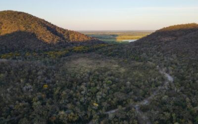 Para preservar o Pantanal, produtores rurais têm ações de conservação remuneradas por programa do Governo de MS