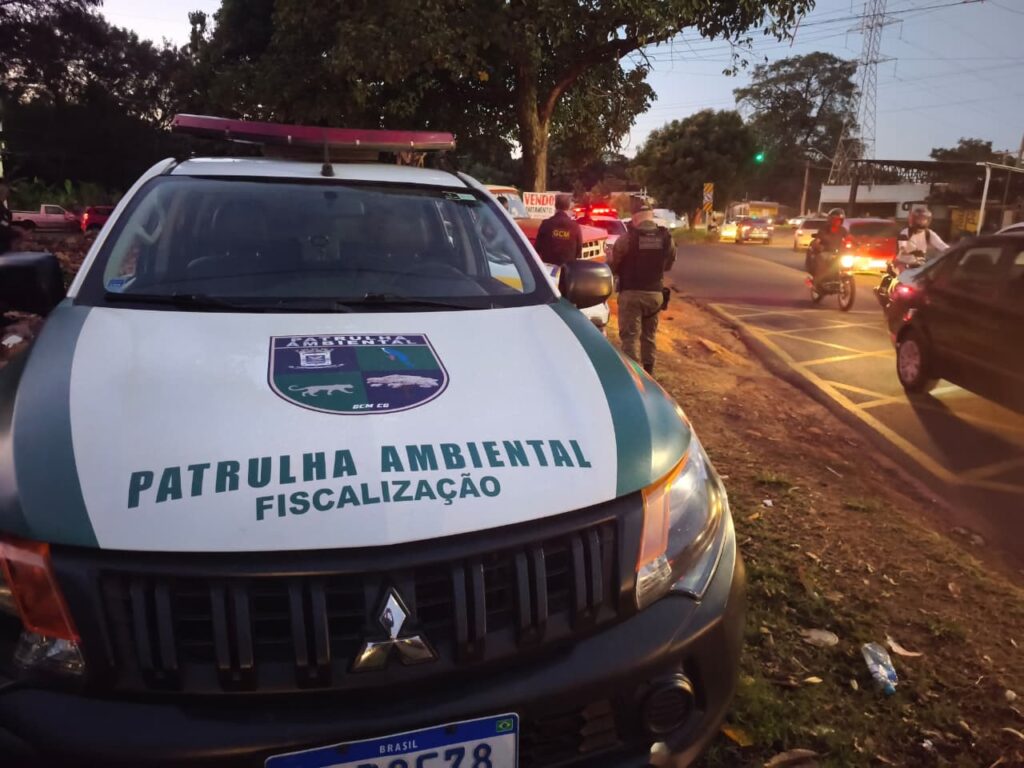 Descarte irregular de resíduos pode virar crime ambiental