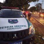 Descarte irregular de resíduos pode virar crime ambiental