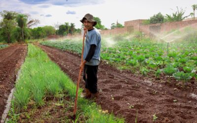 Novo programa liga agricultura familiar ao combate à fome