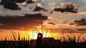 Com influência indireta, El Niño favorecerá ondas de calor a partir de agosto em MS