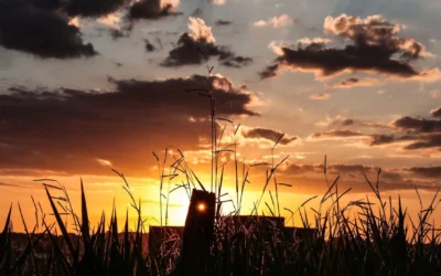 Com influência indireta, El Niño favorecerá ondas de calor a partir de agosto em MS