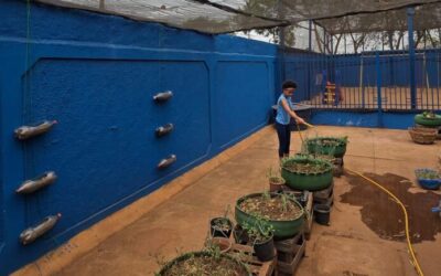 Escola pública de Campo Grande vence prêmio nacional de educação ambiental e receberá R$100 mil