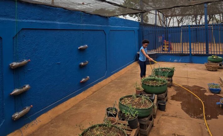Escola pública de Campo Grande vence prêmio nacional de educação ambiental e receberá R$100 mil