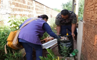 Sidrolândia lidera novos casos de chikungunya em MS e soma 74 suspeitas em 14 dias