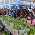 Mutirão Todos em Ação chega ao Oliveira II