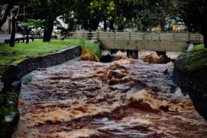 Mato Grosso do Sul destina R$ 9,7 milhões para prevenir desastres e preservar o meio ambiente