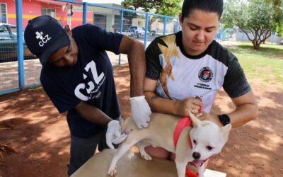 Vacinação antirrábica vai percorrer 300 mil imóveis em Campo Grande