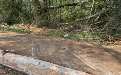 Motorista que atropelou passageira de moto já ‘desapareceu’ do fórum há 7 anos