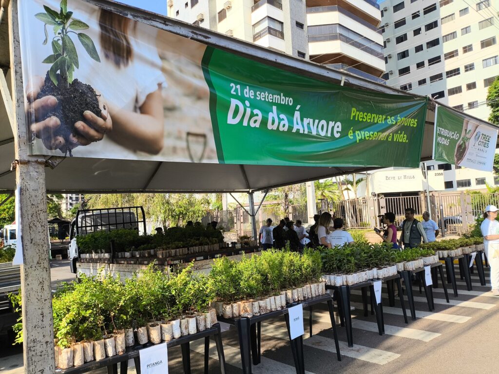 Capital celebra Semana da Árvore com a distribuição de 10 mil mudas