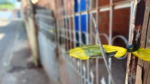 Executado a tiros no Taquarussu estava envolvido em morte de rapaz atropelado